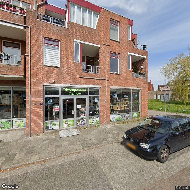 Homerr punt Dierenparadijs Tilman  in Assen